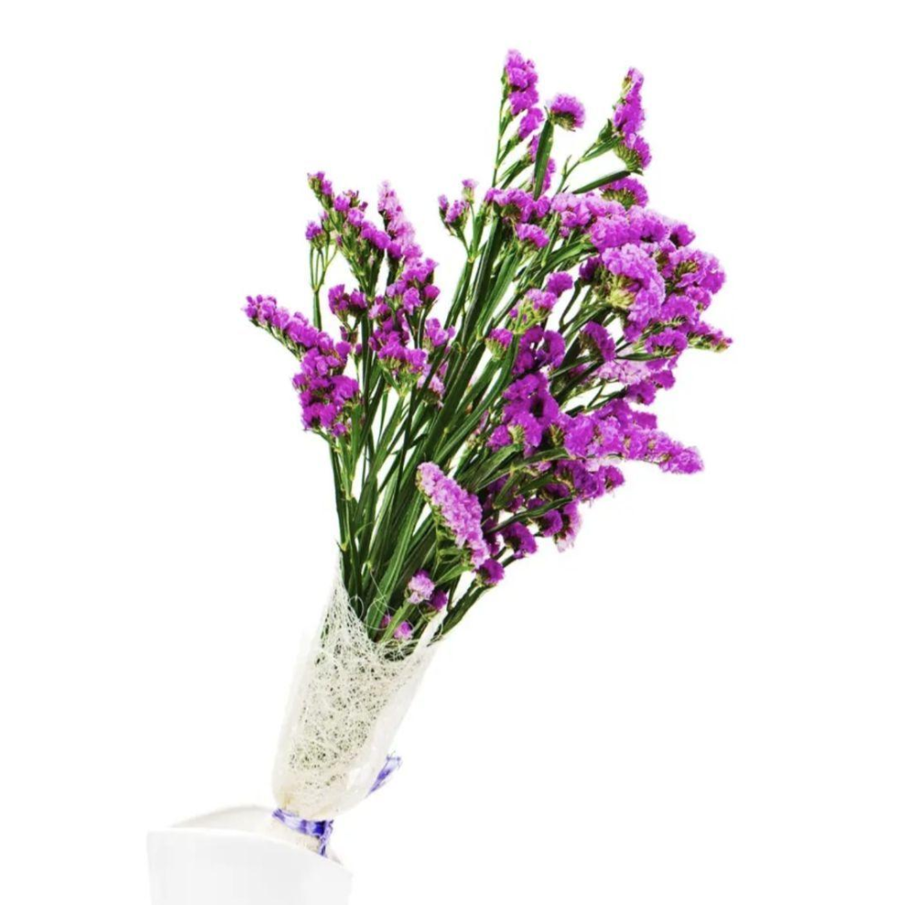 Статиця виїмчаста Рожеве сяйво 0.1 г  / Hem Zaden