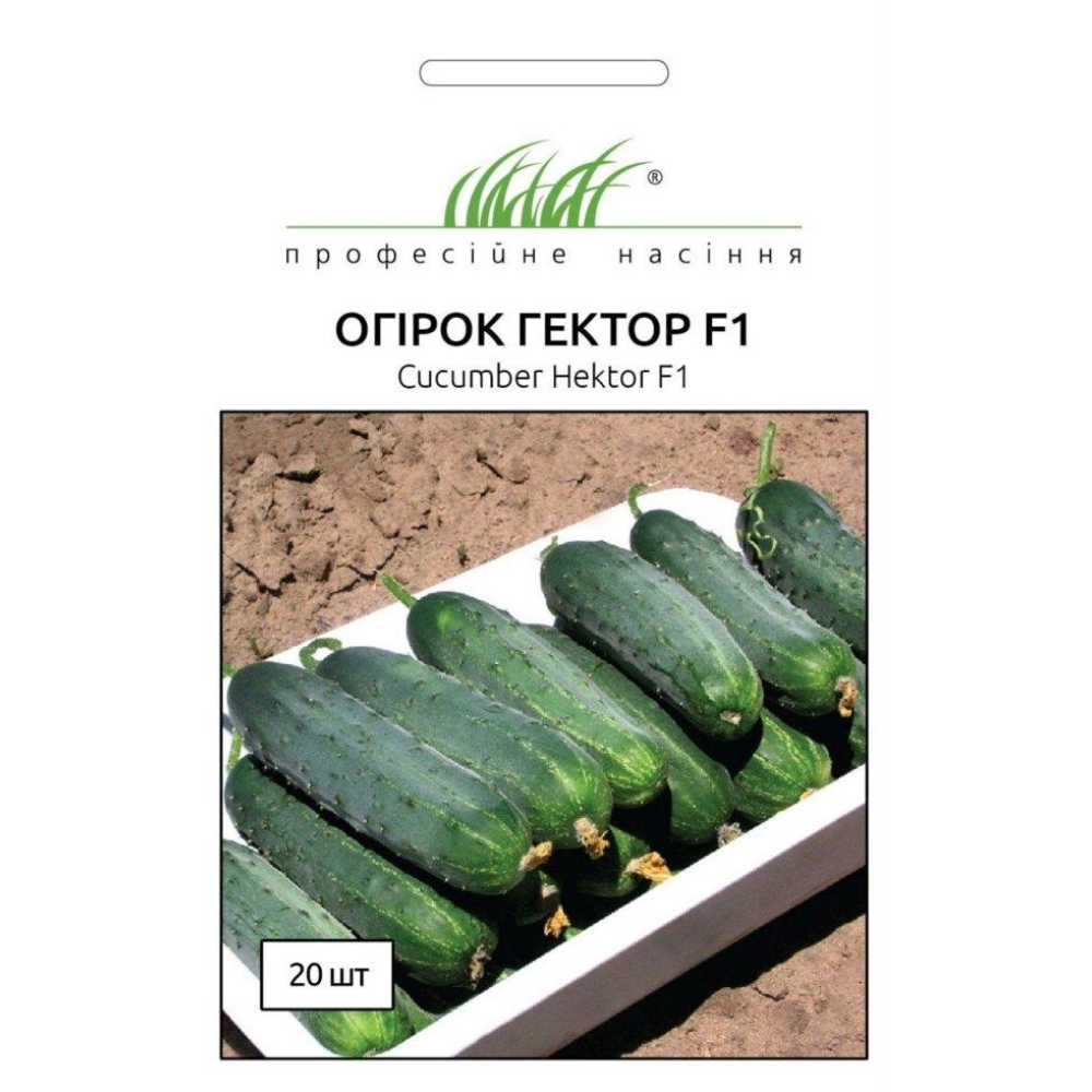 Огірок Гектор F1 20шт / Nunhems Zaden