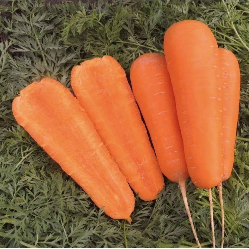 Морква Болівар 0.5г