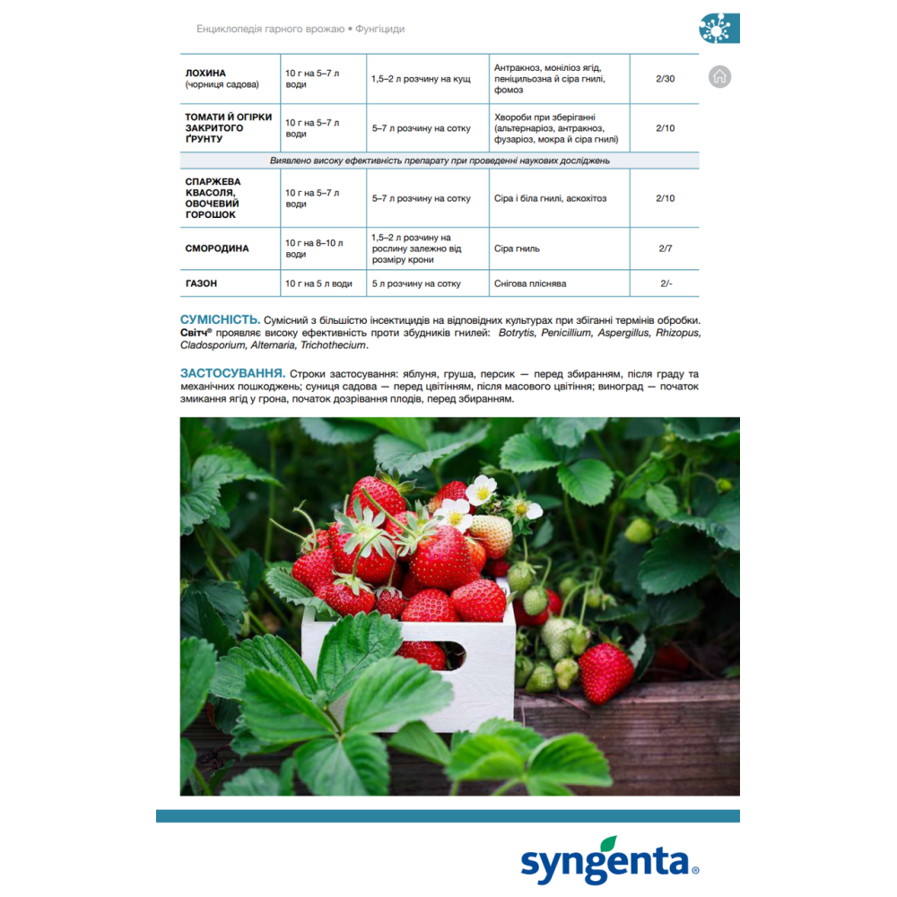 Фунгіцид Світч 100г., Syngenta