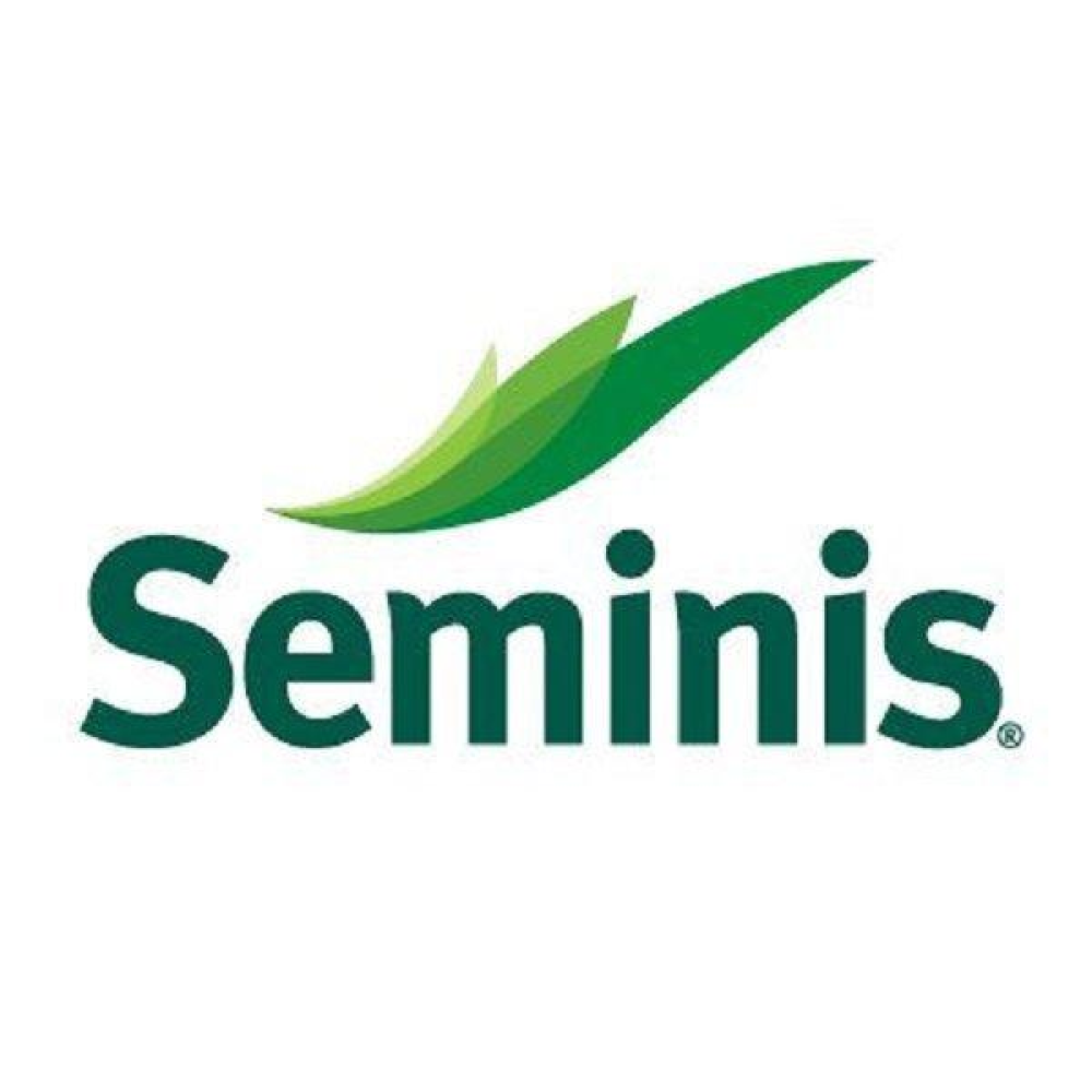 Кабачка Іскандер F1 5шт / Seminis