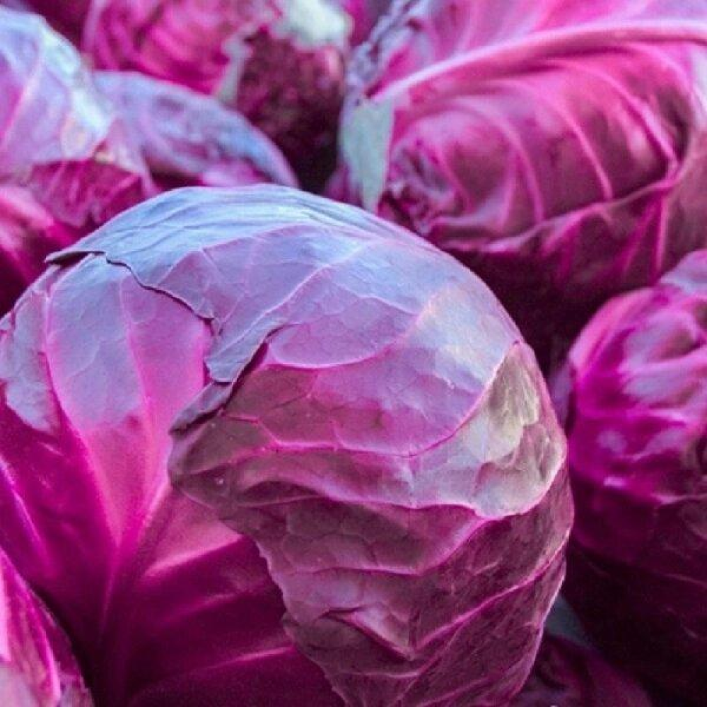 Насіння Капуста Гранат 0,5 г