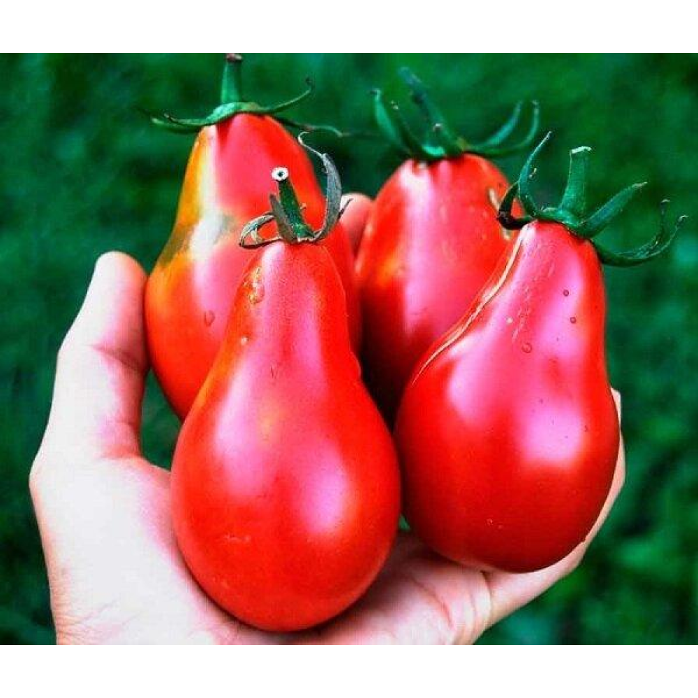 Томат Грушівка 0.1г