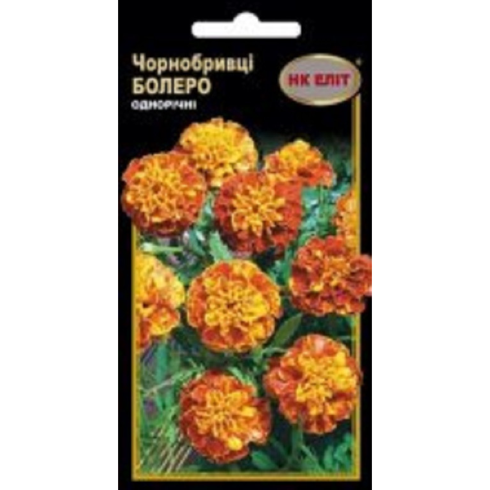 Чорнобривці Болеро