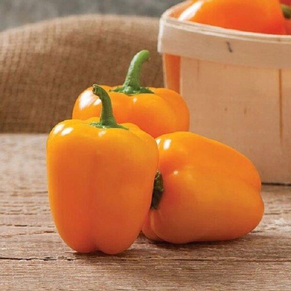 Перець Гурме 0,3 г