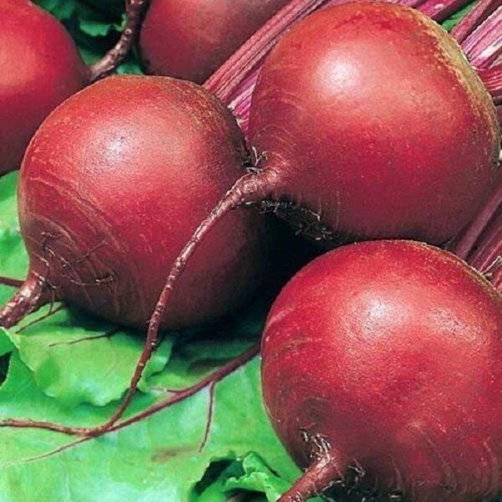 Насіння Буряк Делікатес 3г