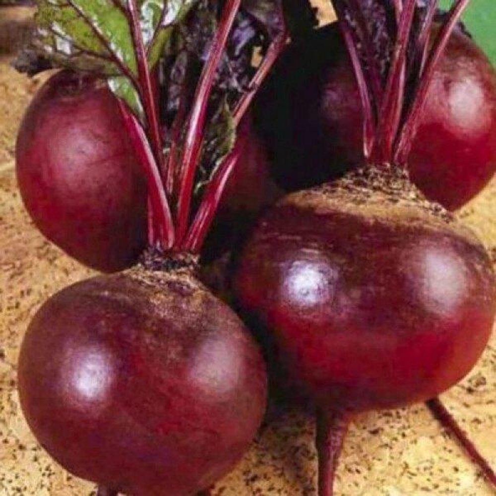 Буряк Детройт 20г