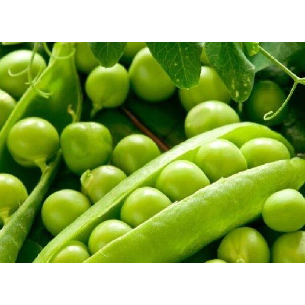 Горох Дитячий захват 20 г