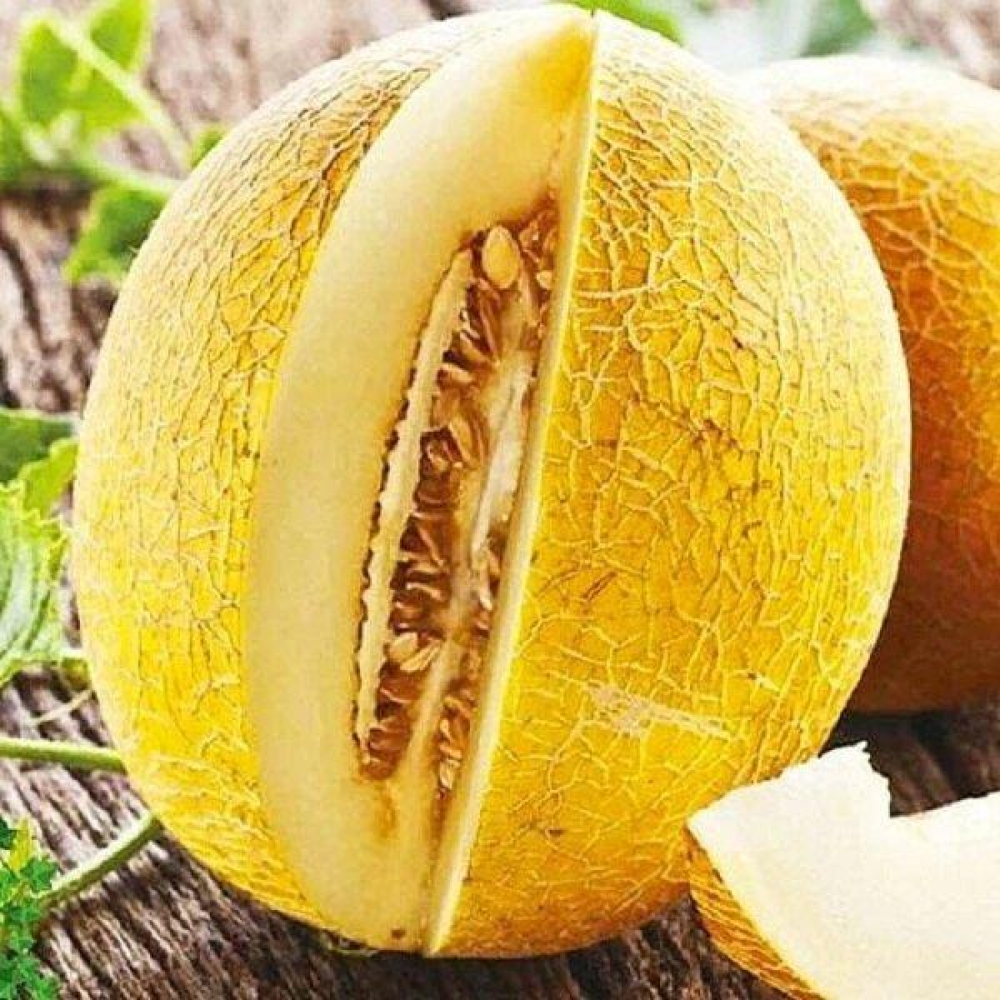 Насіння Диня Тітовка 2г