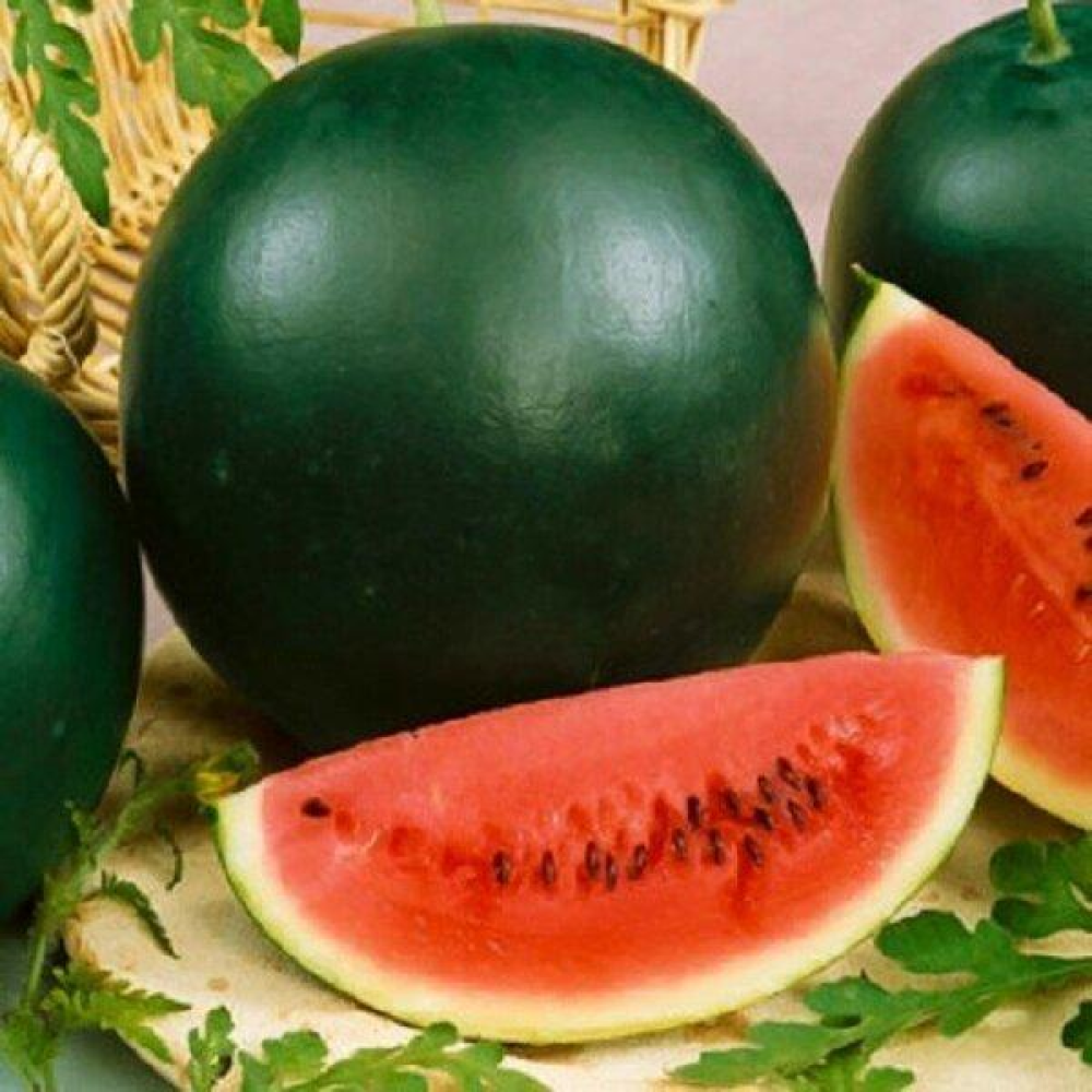 Кавун Красень 2г