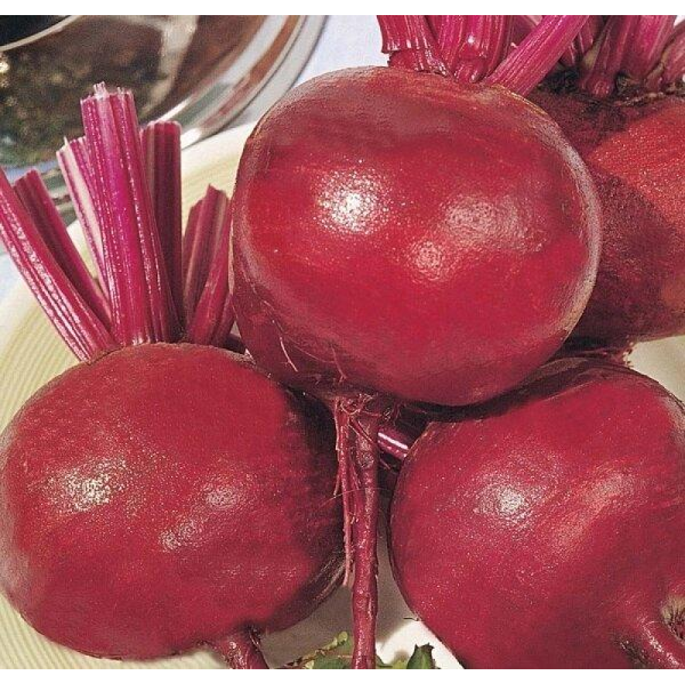 Буряк Кадет 20г