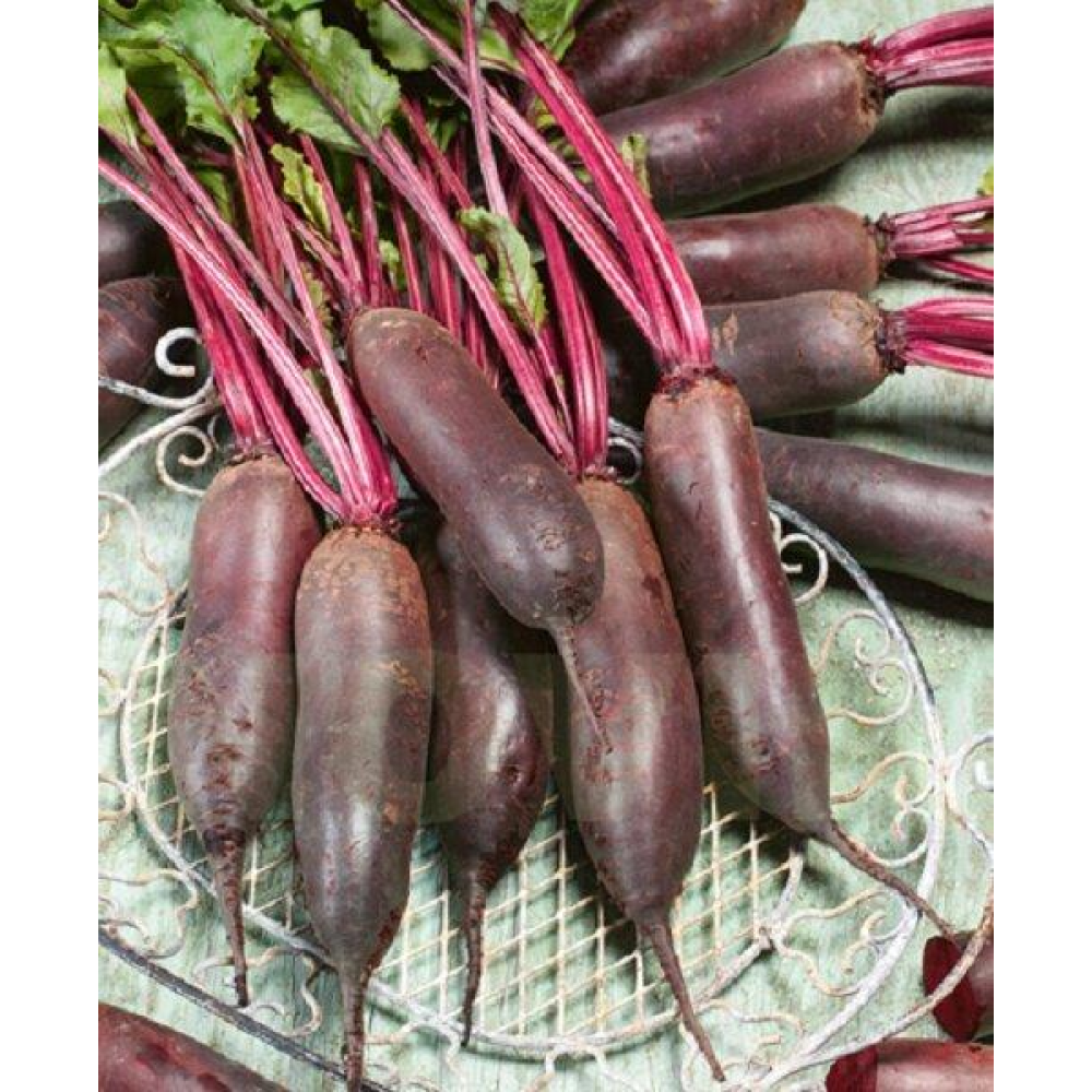 Буряк Кедри 3г