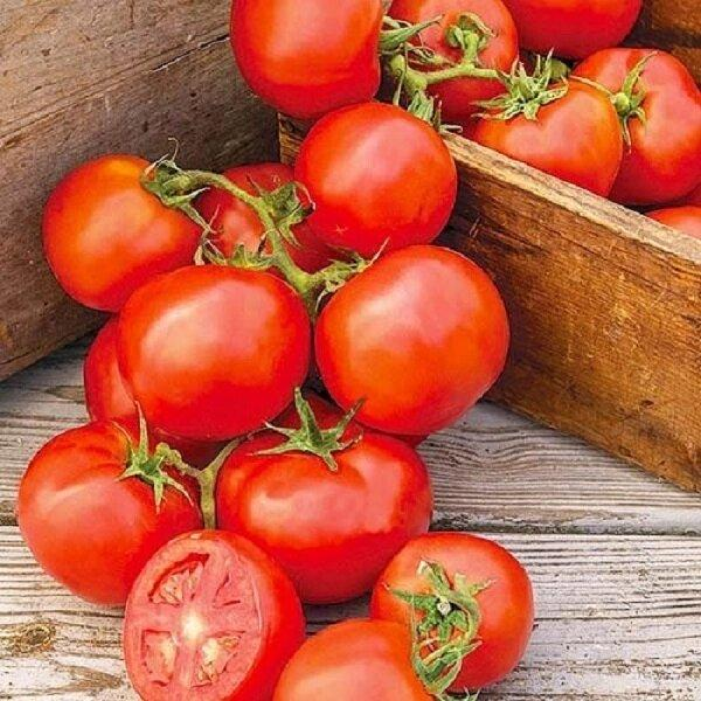 Томат Київський-139 0,1 г