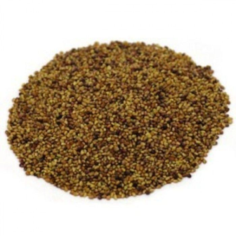 Насіння Конюшини червоної магниченої багаторічної посівної, 1кг урожай 2024 р