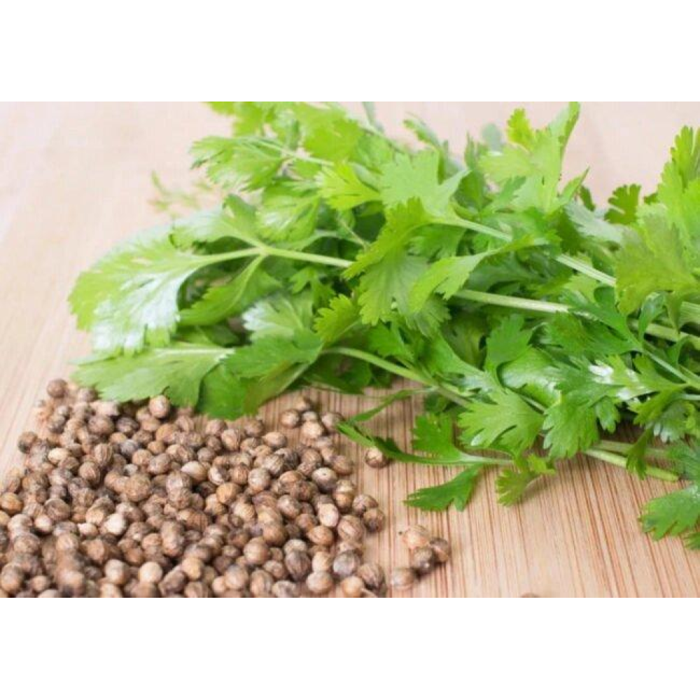 Коріандр (Кінза) 3г