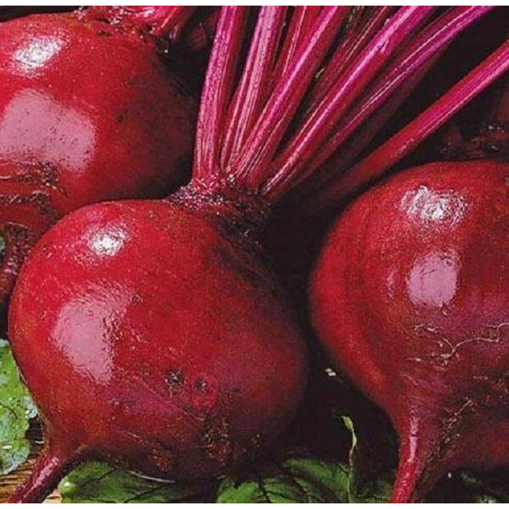 Насіння буряк Кросбі їдальня 3г