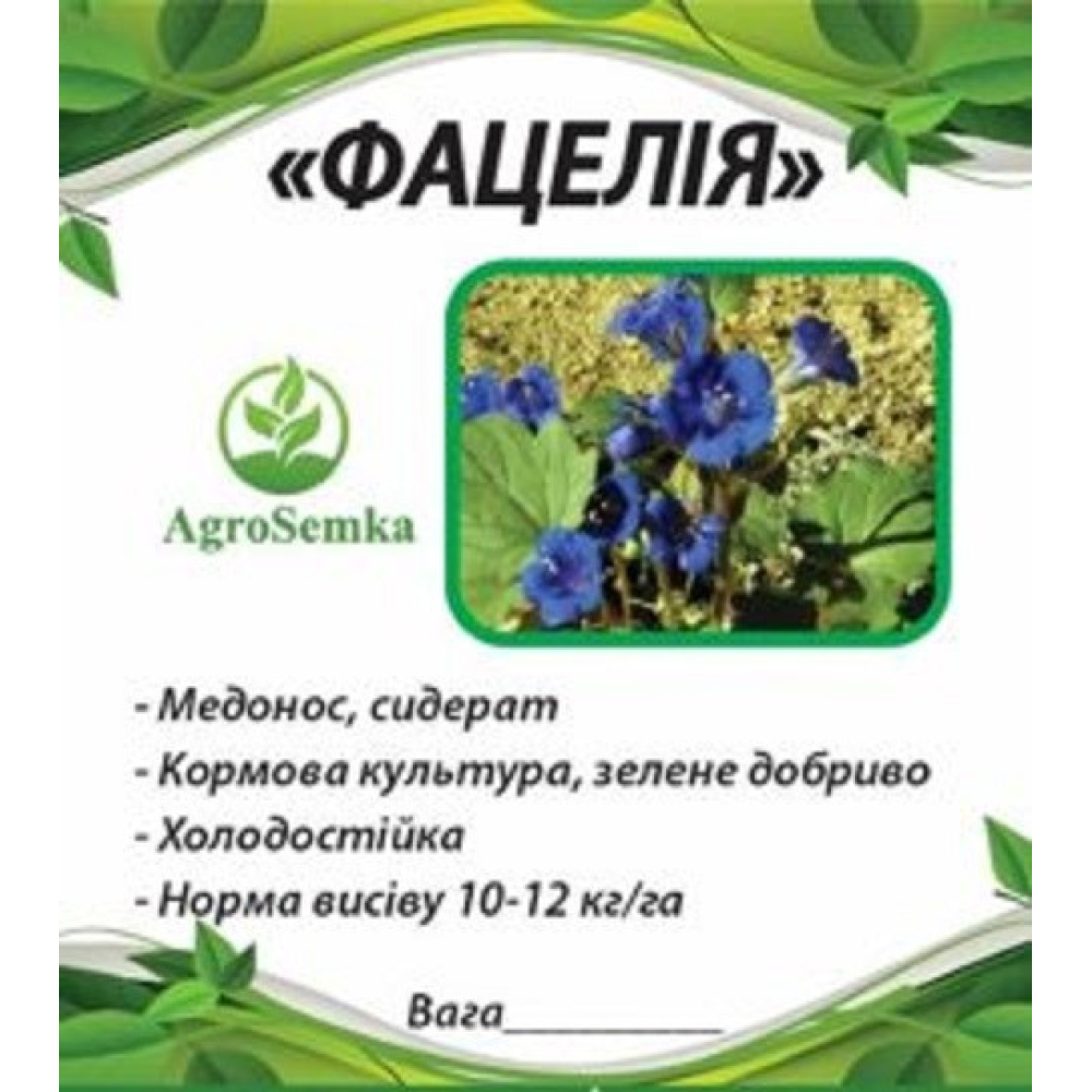 Насіння Фацелія, медонос, сидерат 1кг урожай 2024 р