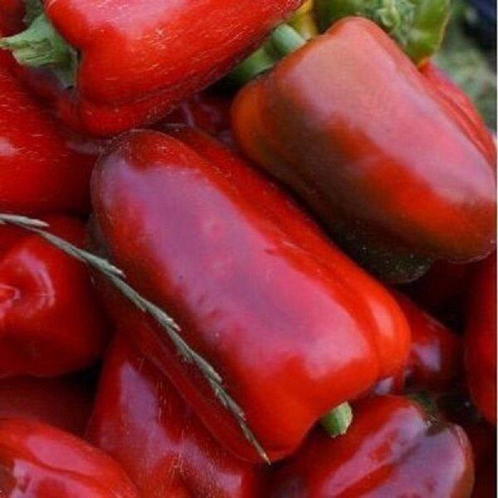 Перець Мерцедес 0,3 г