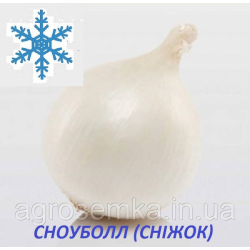 Озима цибуля сіянка Сноуболл (Snowball) 8/21 1кг/ TOP Onion Sets