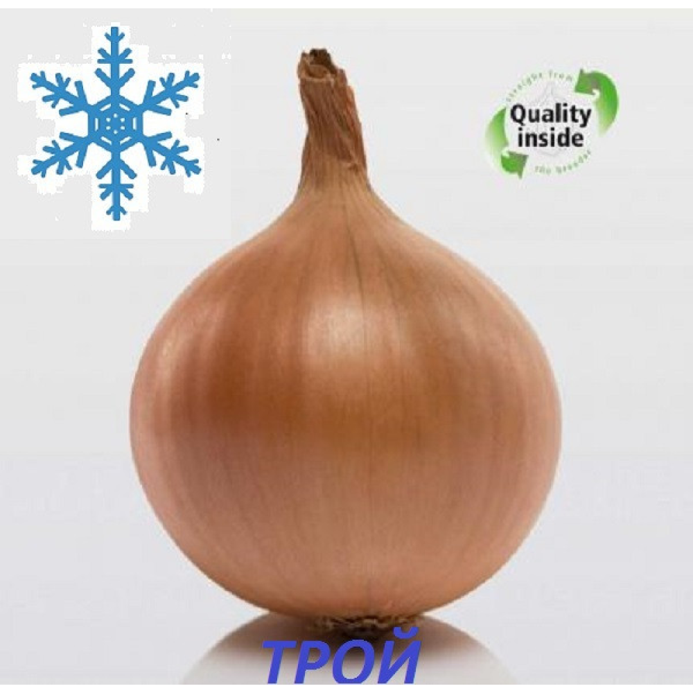 Цибуля сіянка озима Трой 8/21 (Troy) 1 кг / Broer