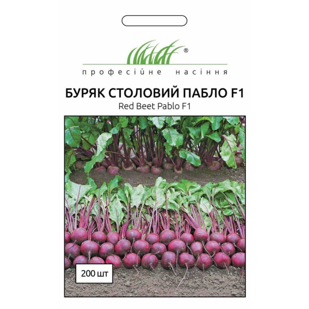 Буряк столова Пабло F1 200шт / Bejo Zaden