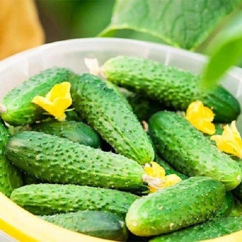 Огірок Паризький корнішон 5 г