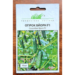 Огірок Бйорн F1 10шт / Enza Zaden
