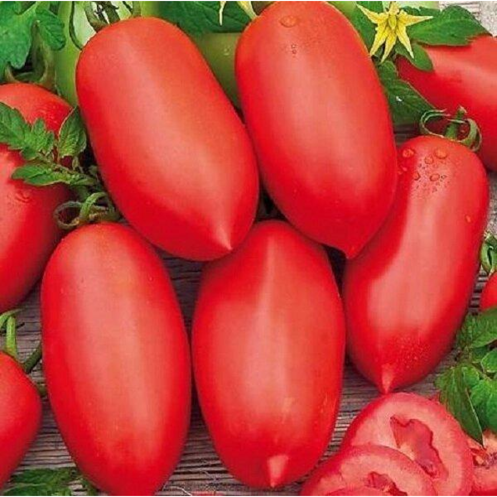 Томат Гібрид Тарасенка-3 0.1г