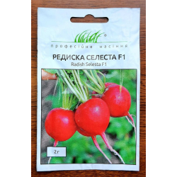 Насіння Редис Селеста F1 2г / Enza Zaden Насіння Редис Селеста F1 2г / Enza Zaden