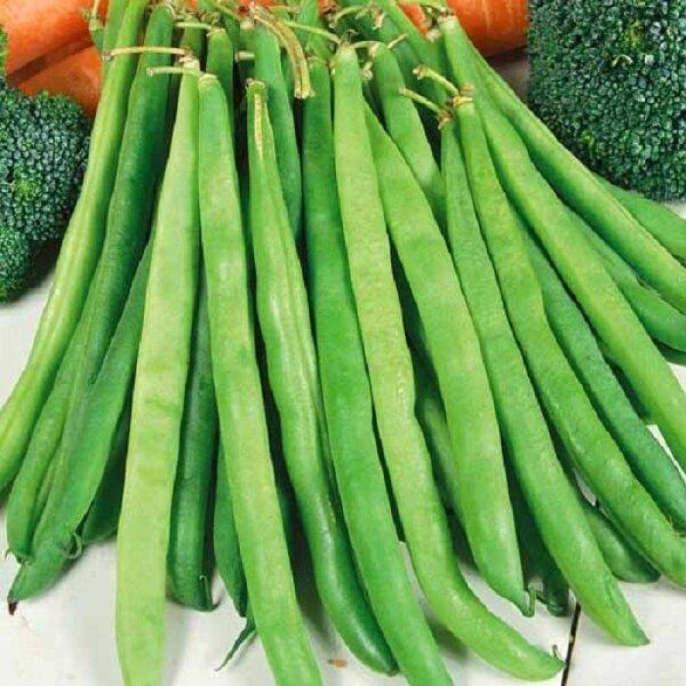 Квасоля Спаржева зелена 20г
