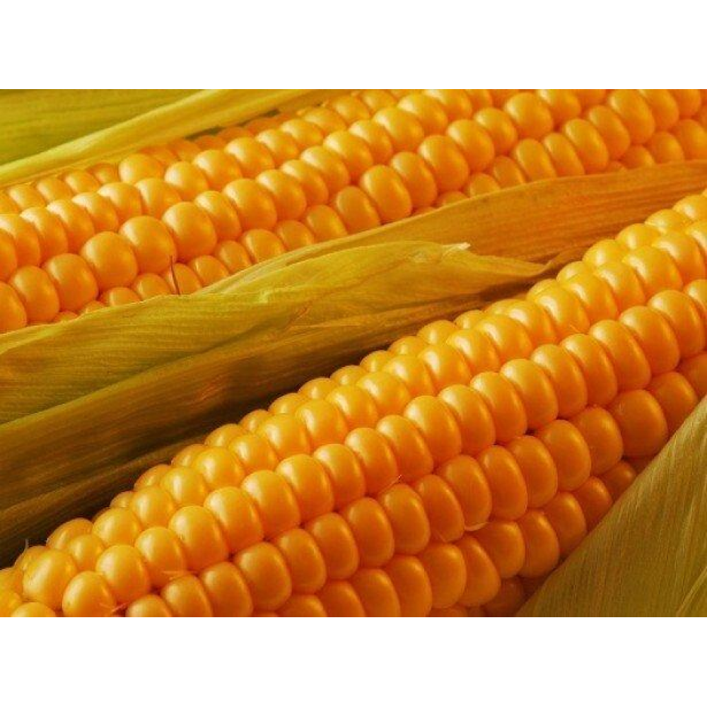 Кукурудза цукрова Рання золота 20г