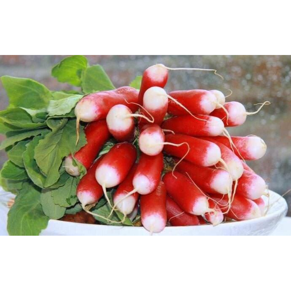 Редиска Французький сніданок 20г