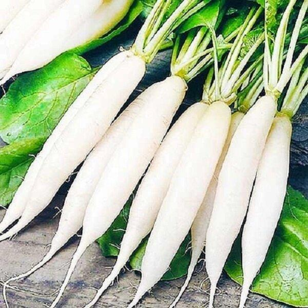 Насіння Редиска Льодова бурулька 3г